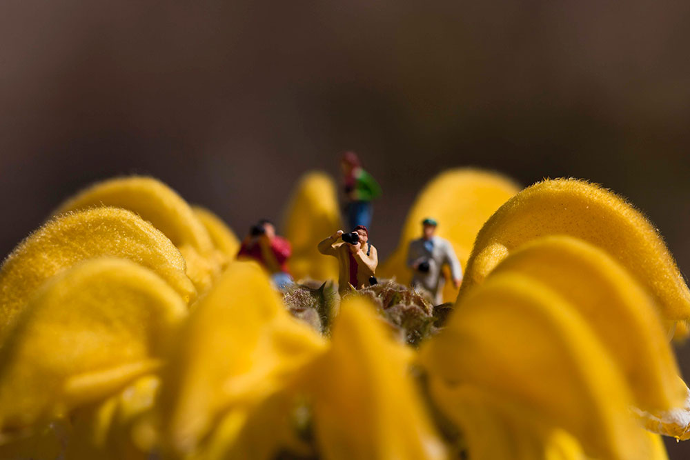Creativ Isee Ik photographie Photographe professionnelle basée à Paris, spécialisée dans le portrait.