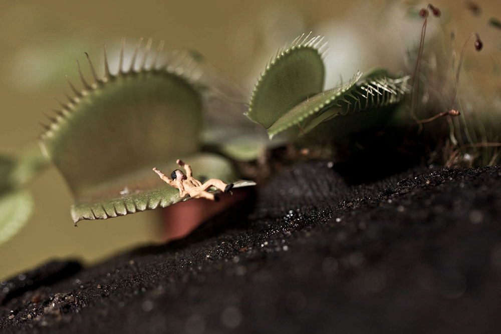 Creativ Isee Ik photographie Photographe professionnelle basée à Paris, spécialisée dans le portrait.